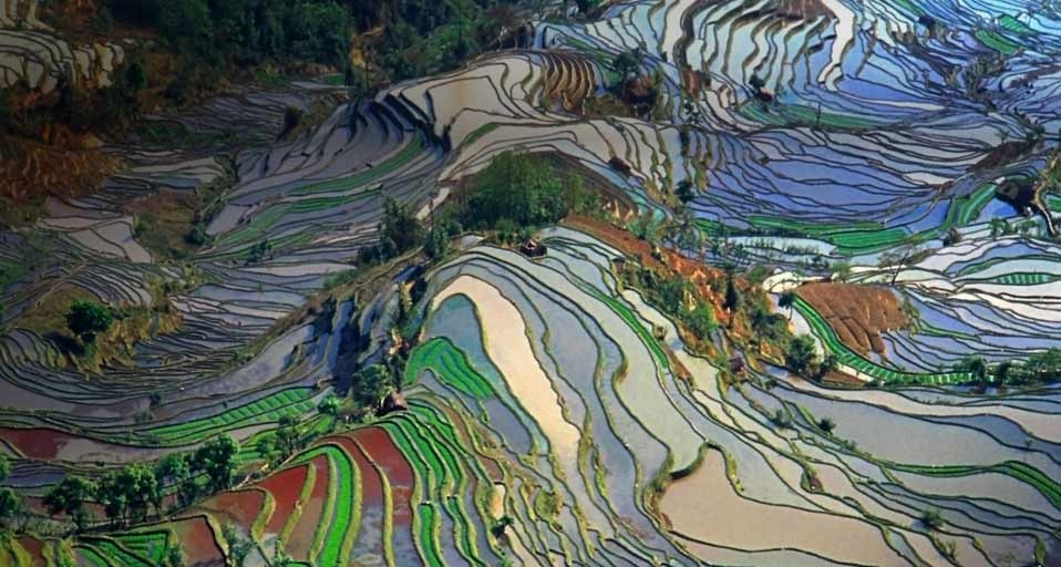 云南梯田鸟瞰图 -- Jialiang Gao/Getty Images &copy; (Bing China)