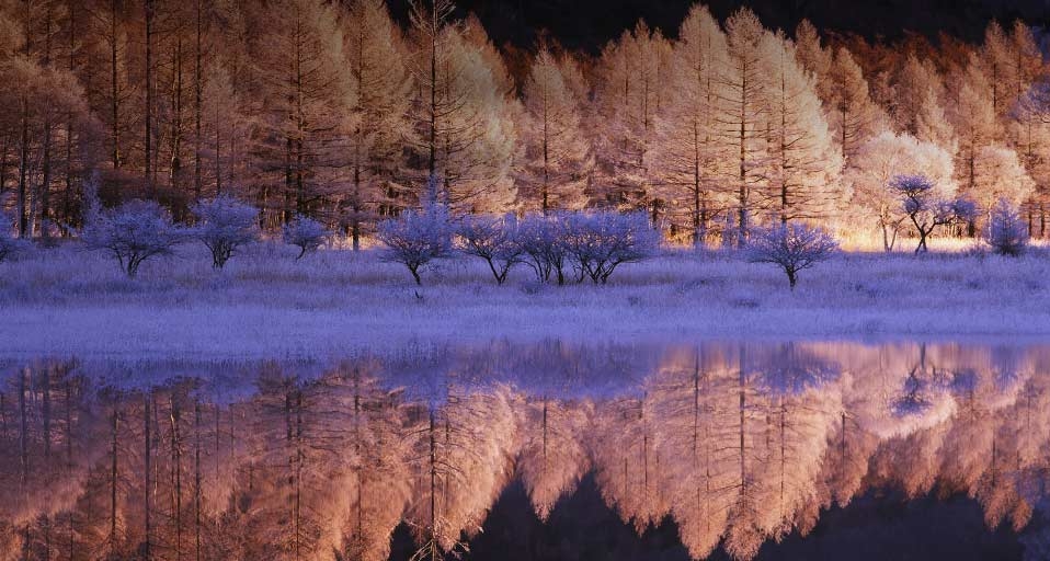 日本关东的落叶松 -- JTB Photo/Photolibrary &copy; (Bing China)
