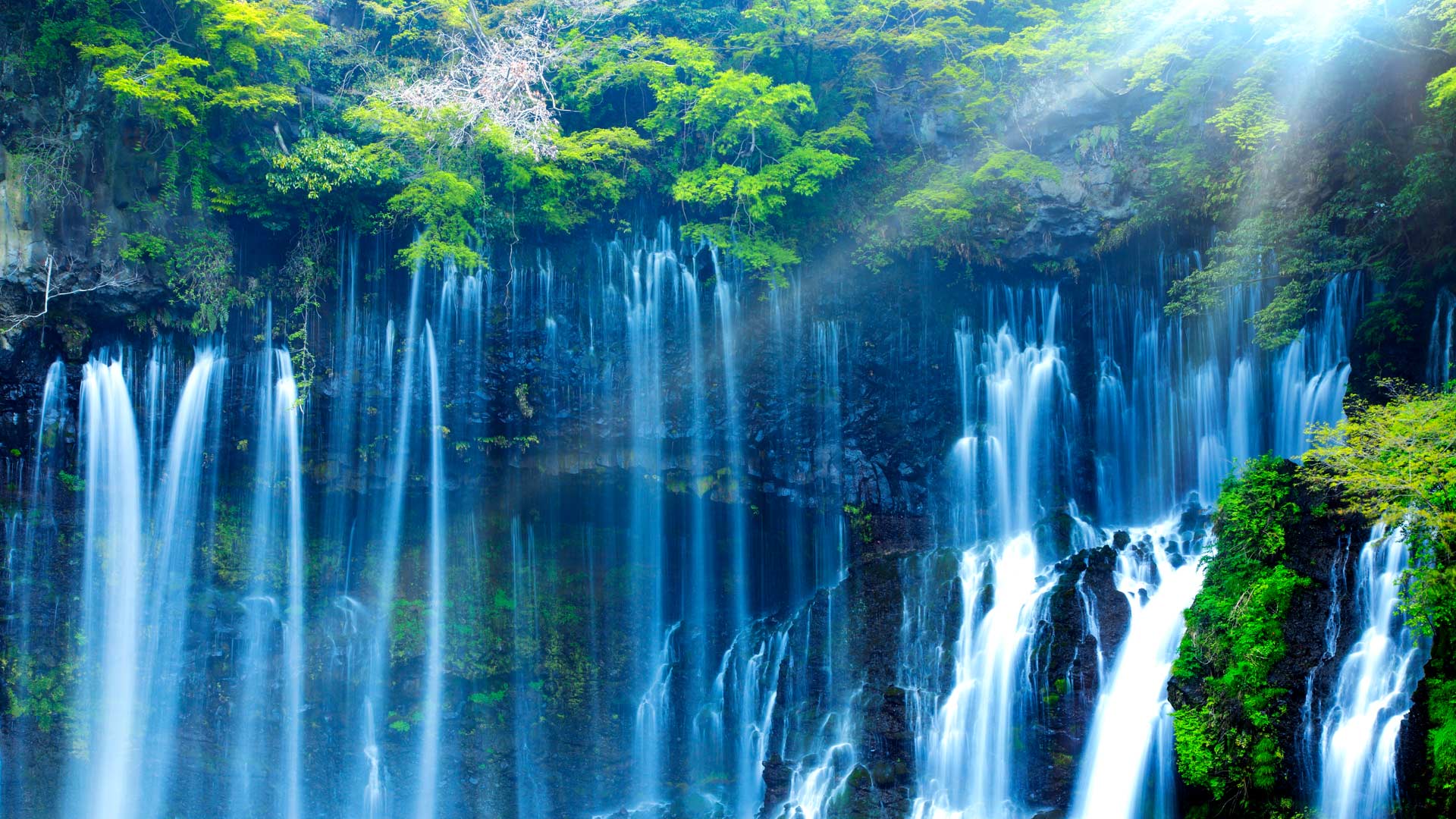 ｢白糸の滝｣静岡, 富士宮市 (© SHOSEI/Aflo)(Bing Japan)