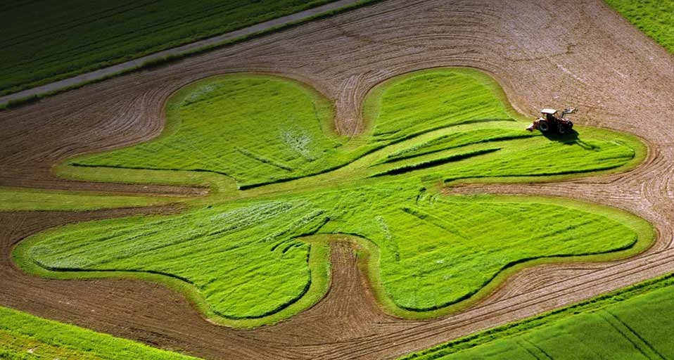 五月之夏：“首夏犹清和，芳草亦未歇” -- Boris Roessler/epa/Corbis &copy; (Bing China)