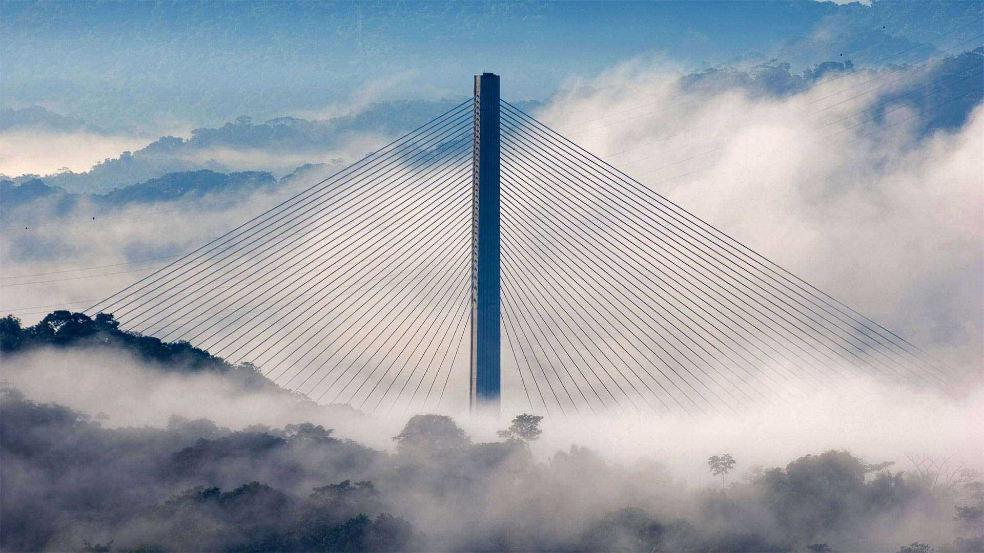 Centennial Bridge towering above Soberanía National Park, Panama (© David Tipling/Universal Images Group via Getty Images)(Bing Canada)