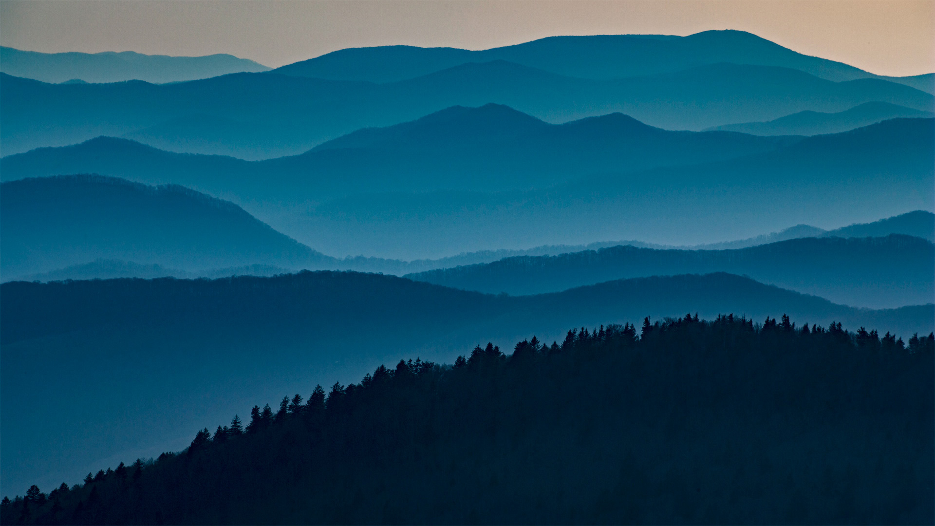大雾山国家公园，田纳西州 (© Tony Barber/Getty Images)(Bing China)
