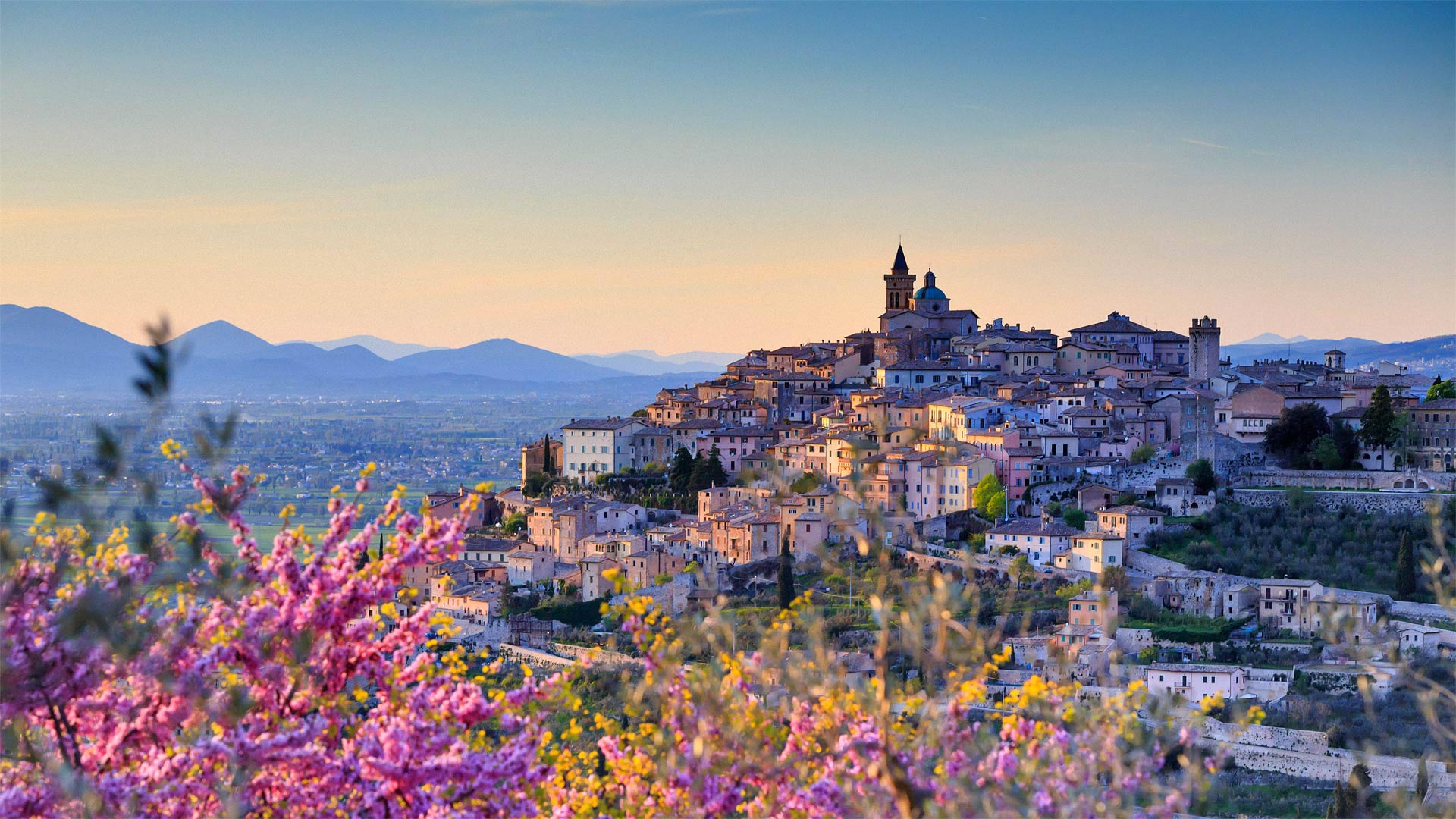 俯瞰着特雷维的扁桃花，意大利佩鲁贾 (© Maurizio Rellini/eStock Photo)(Bing China)