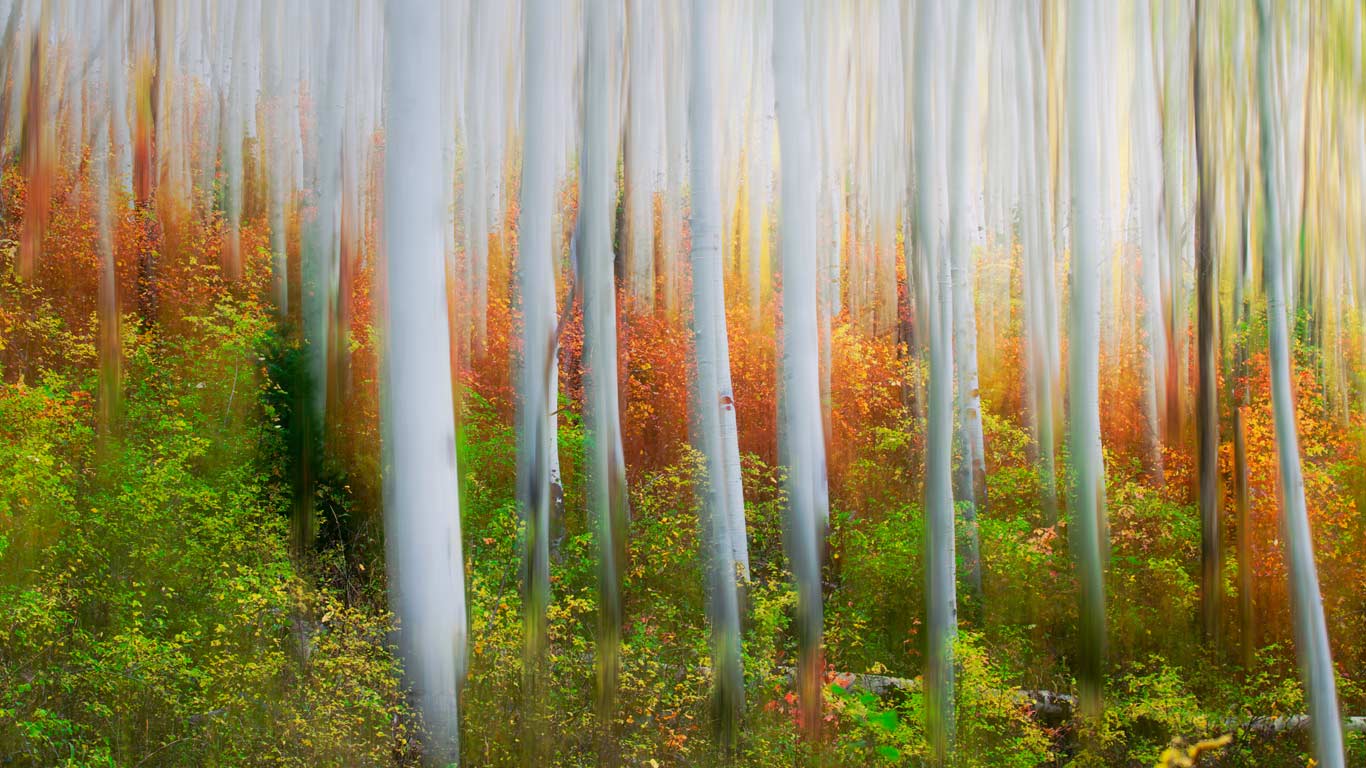 Iron Canyon Trail near Park City, Utah (© Patrick Brandenburg/Tandem Stills + Motion)(Bing United States)