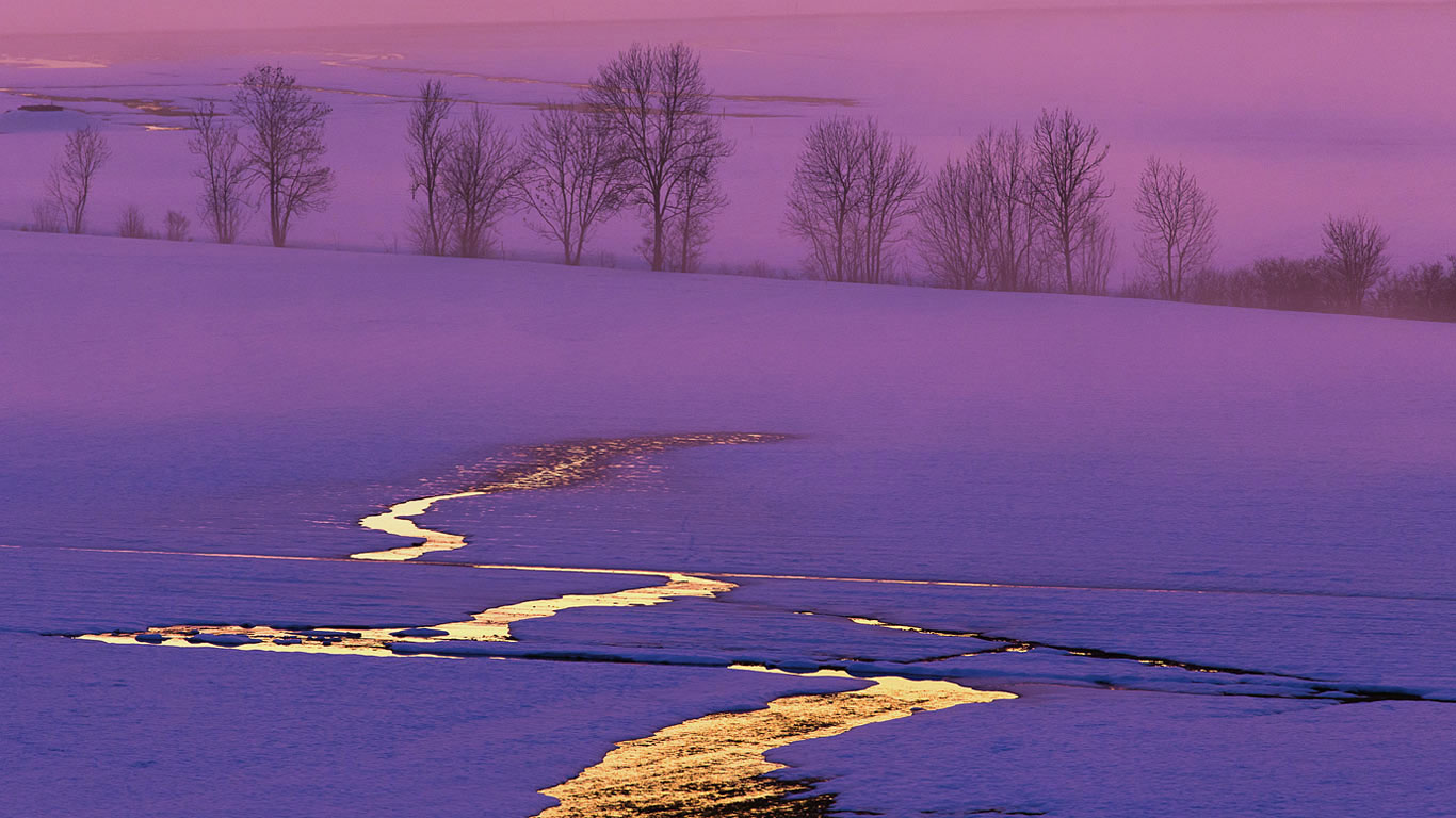 雪地里的日落，瑞士 (© Alexander Dragunov/500px)(Bing China)