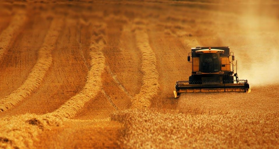 英国麦田，联合收割机在工作 (© Corbis Motion) &copy; (Bing China)