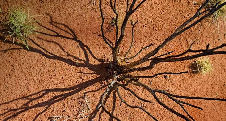 Uluru Kata Tjuta National Park (© Sylvain Grandadam/age fotostock) &copy; (Bing Australia)