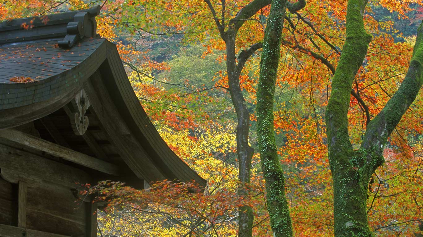 ｢貴船神社｣京都, 左京区 (© Rob Tilley/DanitaDelimont.com)(Bing Japan)