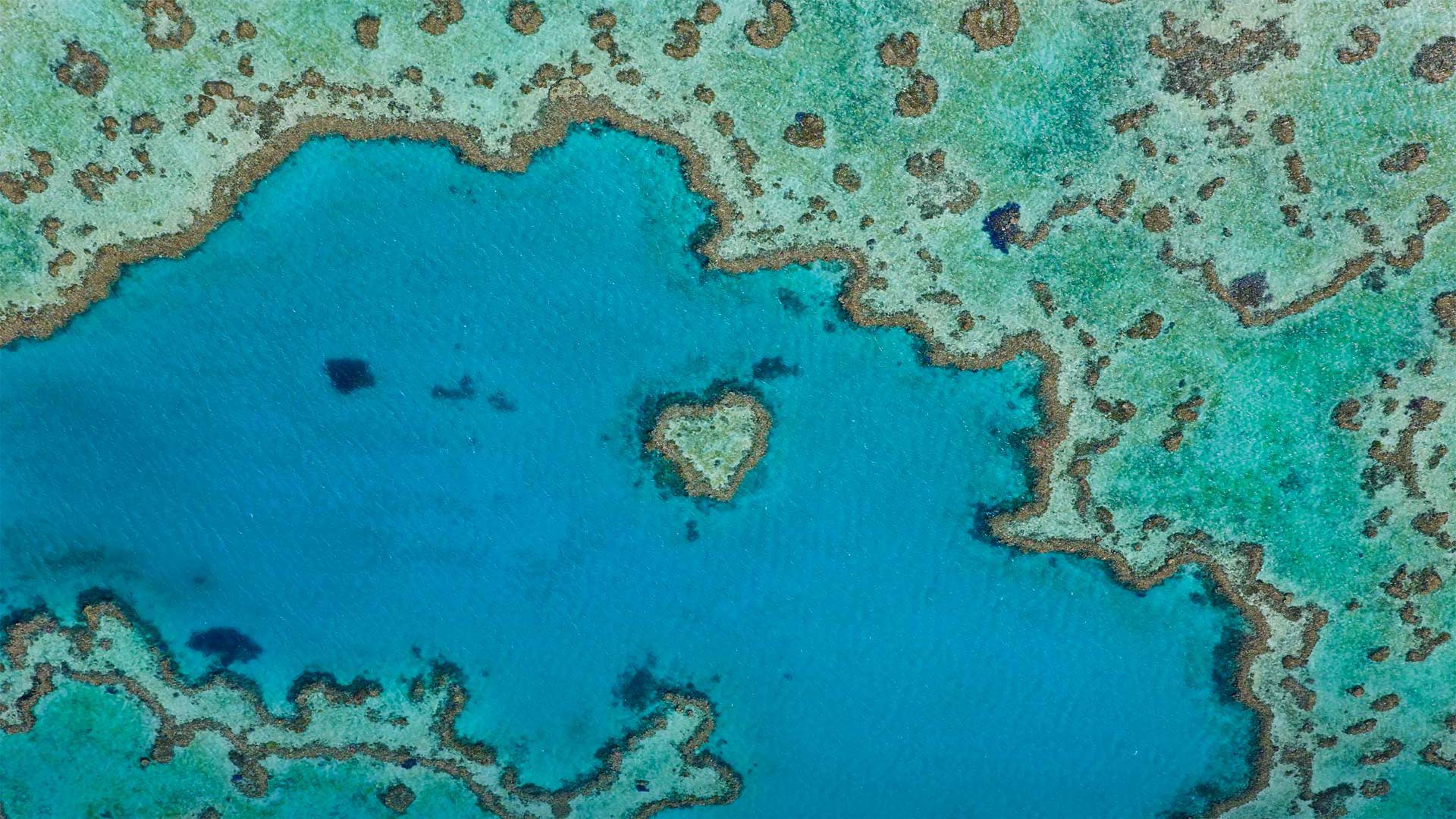 属于大堡礁的一部分的心形礁，澳大利亚昆士兰 (© Peter Adams/Offset by Shutterstock)(Bing China)
