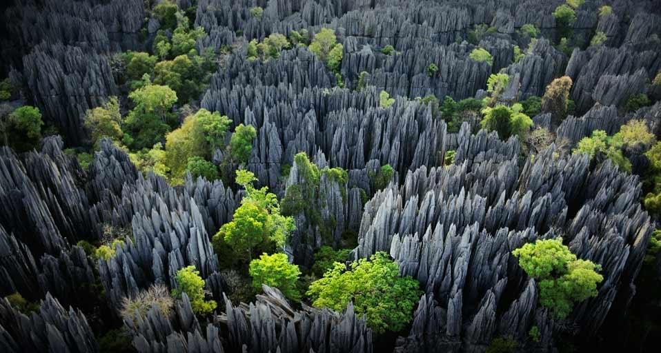 马达加斯加喀斯特石灰岩层地质奇观 -- Frans Lanting/Corbis &copy; (Bing China)
