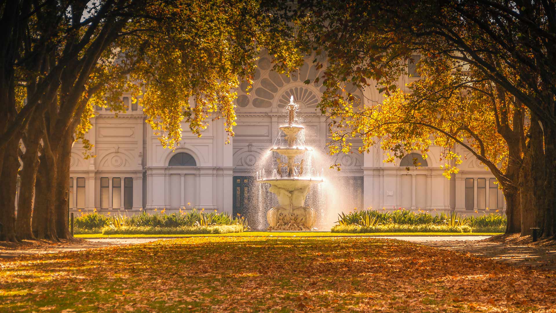 Carlton Gardens fountain and autumn trees catching the sunlight in front of the Royal Exhibition Building, Melbourne (© CBCK-Christine/iStock/Getty Images Plus)(Bing Australia)