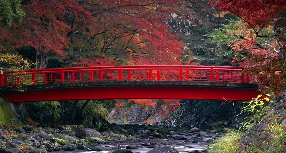 ｢桂橋｣静岡, 伊豆市, 修善寺 (© JTB Photo/ageFOTOSTOCK) &copy; (Bing Japan)