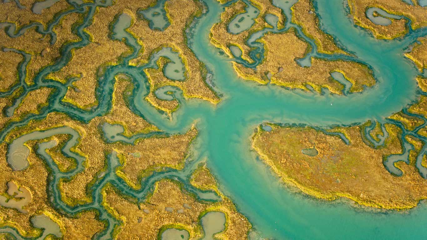 Aerial view of salt marsh at Abbotts Hall Farm, Essex (© Terry Whittaker/2020VISION/Minden Pictures)(Bing United Kingdom)