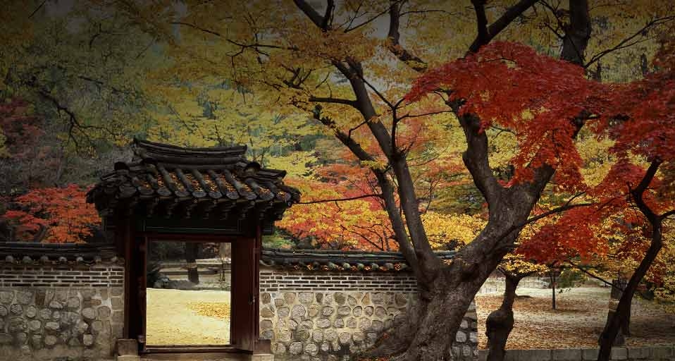 秋的踪迹：韩国昌德宫的秋叶 -- Yoshio Tomii Photo Studio/Photolibrary &copy; (Bing China)