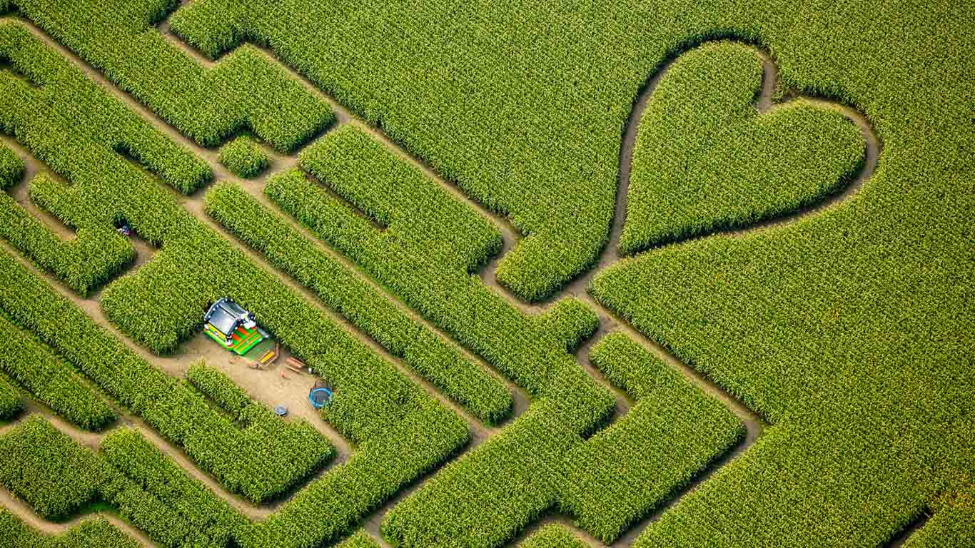 Ein Labyrinth mit Herz im Maisfeld, Herten, Ruhrgebiet, Nordrhein-Westfalen, Deutschland (© imageBROKER/Alamy Stock Photo)(Bing Deutschland)