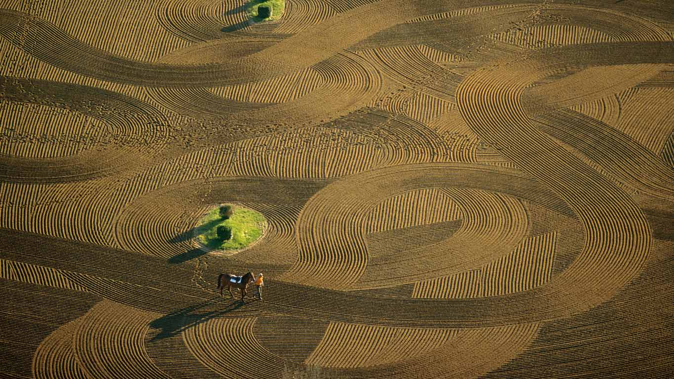 Centre d’entraînement de l’hippodrome de Maisons-Laffitte, Yvelines, Île-de-France (© Yann Arthus-Bertrand/Getty Images)(Bing France)