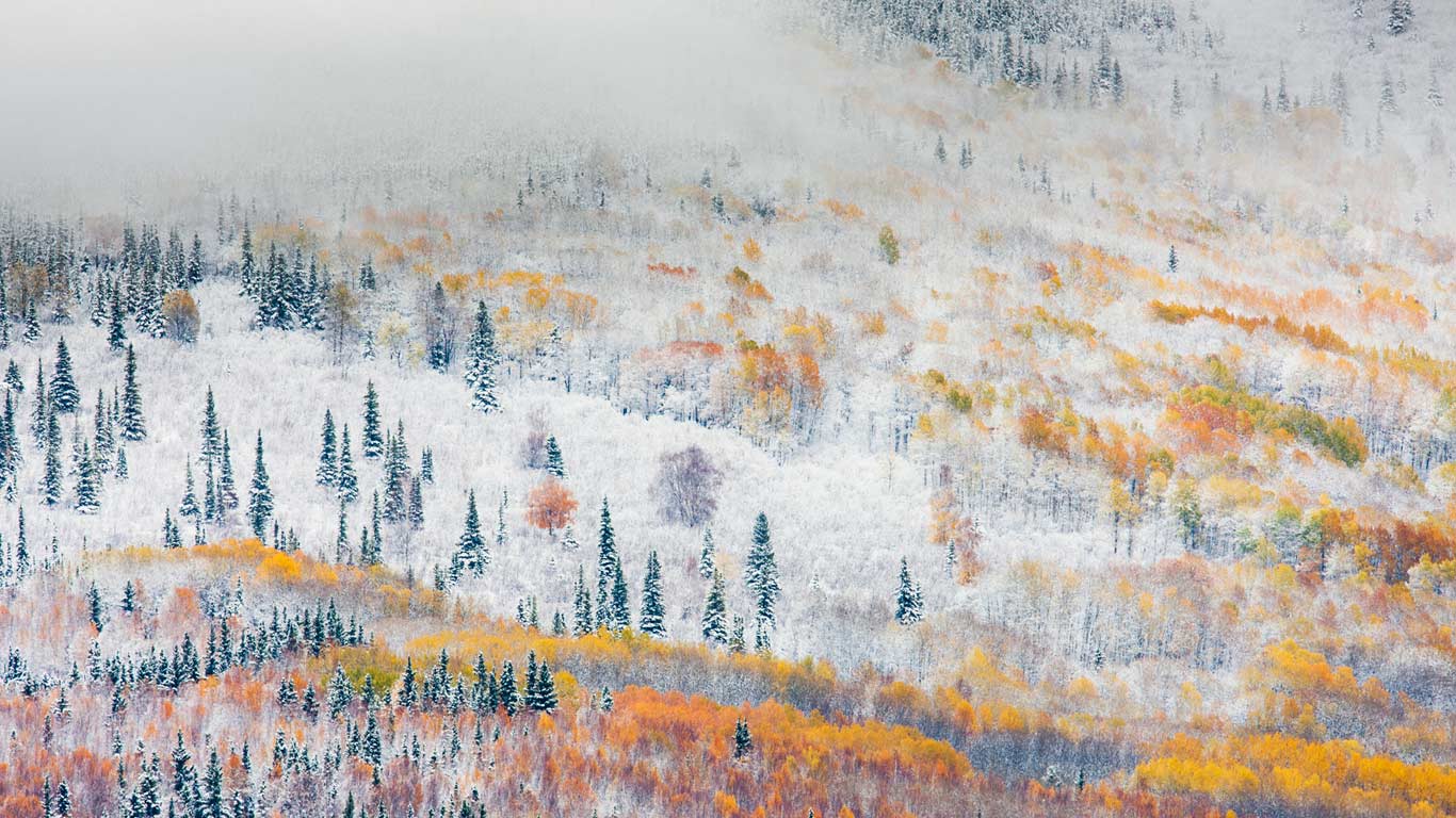 Early snowfall near Fairbanks, Alaska (© Patrick Endres/plainpicture)(Bing Canada)
