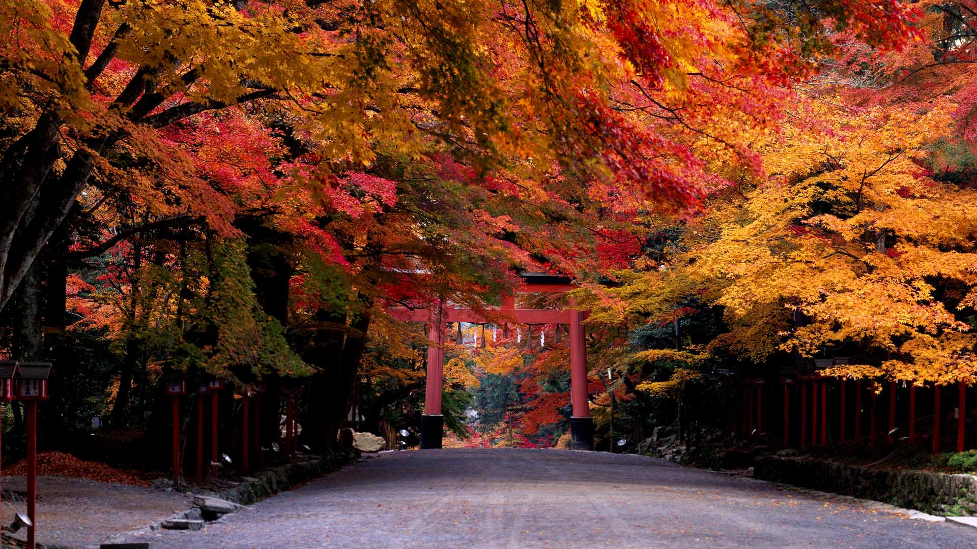 ｢日吉大社｣滋賀, 大津市 (©  JTB Photo/age fotostock)(Bing Japan)