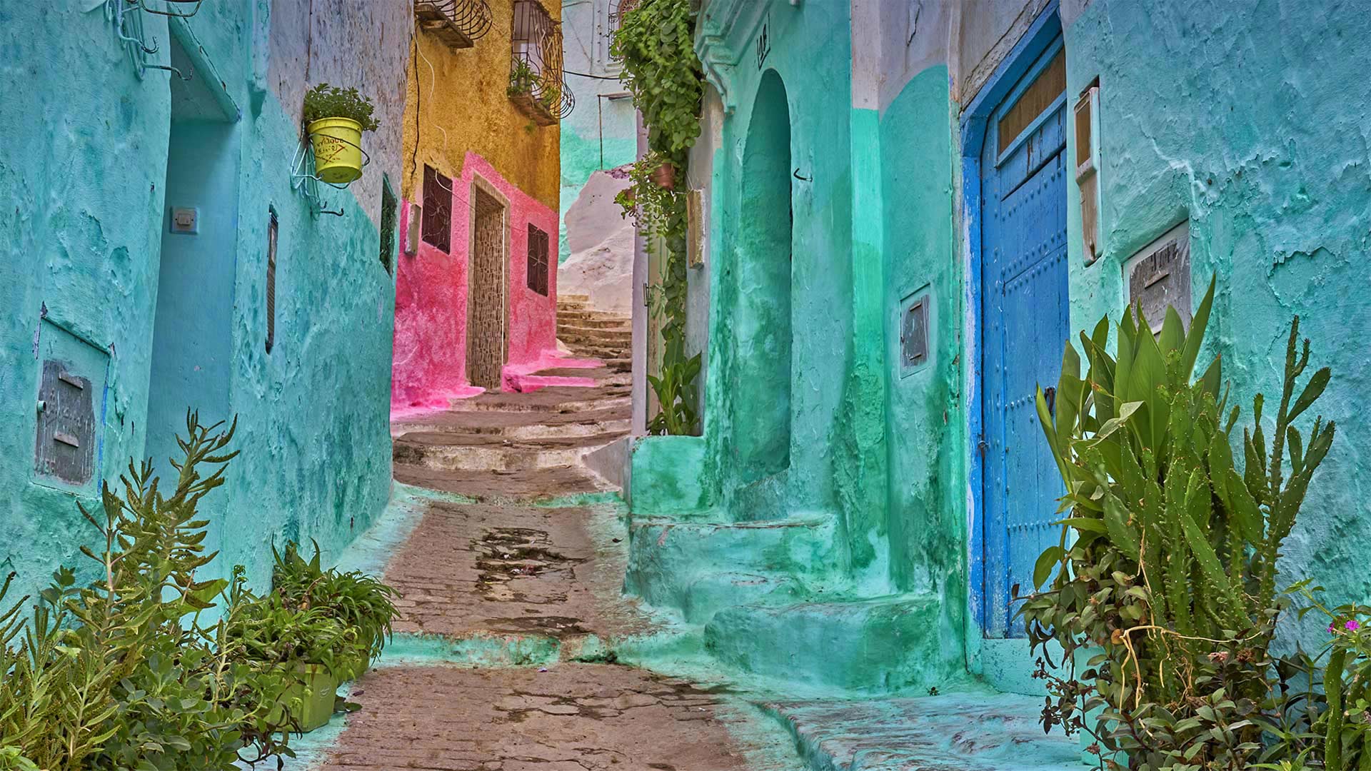 麦地那的彩色小巷， 摩洛哥得土安市 (© Jan Wlodarczyk/eStock Photo)(Bing China)