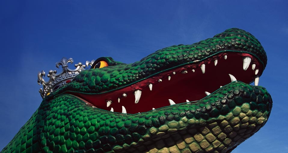 路易斯安那州的新奥尔良狂欢节 -- Richard Cummins/Corbis &copy; (Bing China)