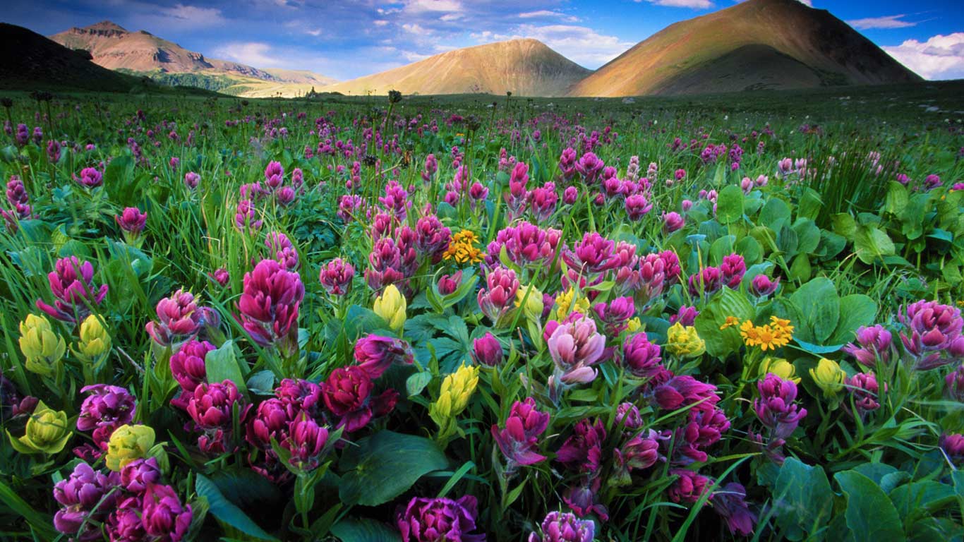 美国科罗拉多州国家森林公园的美国湖区 (© Gallery Stock)(Bing China)