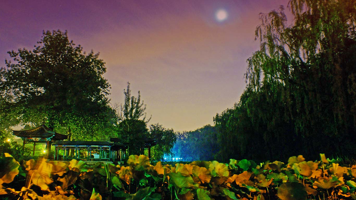 北京清华大学校内的近春园 (© Yu Cui/Tsinghua University)(Bing China)