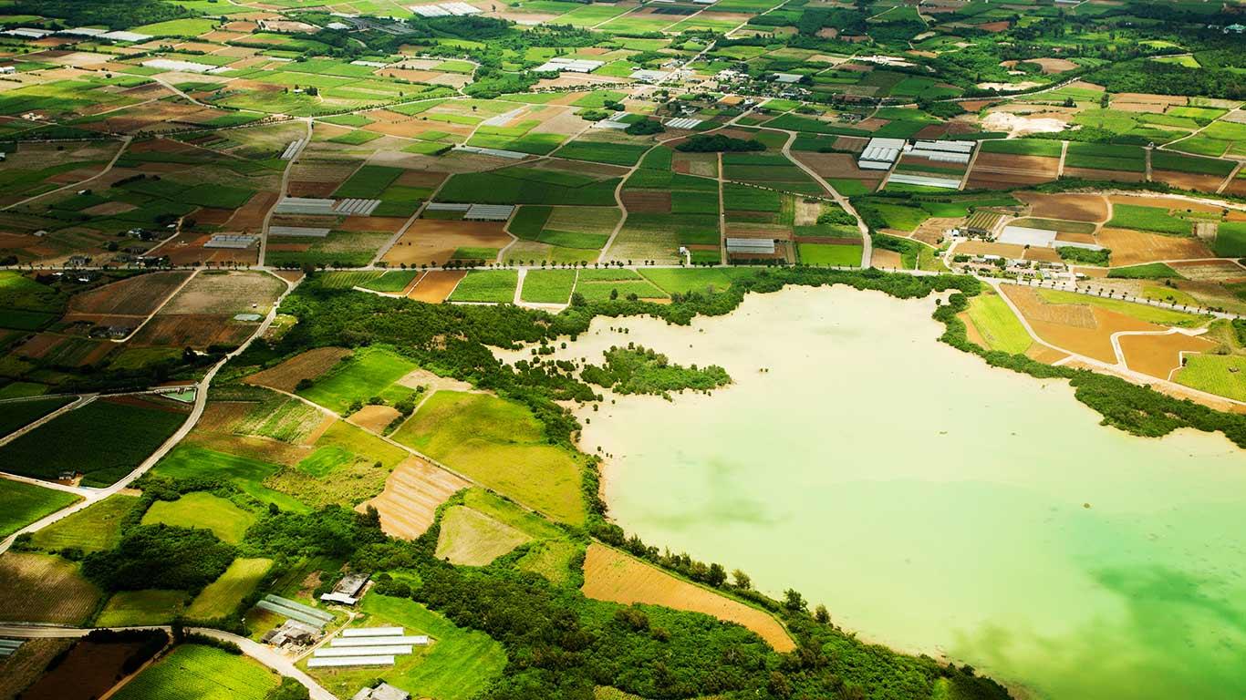 ｢サトウキビ畑｣沖縄県, 宮古島 (© Ippei Naoi/Flickr/gettyimages)(Bing Japan)