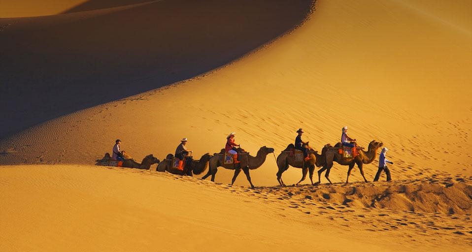 沙漠中的骆驼队 (© Keren Su/Getty Images) &copy; (Bing China)