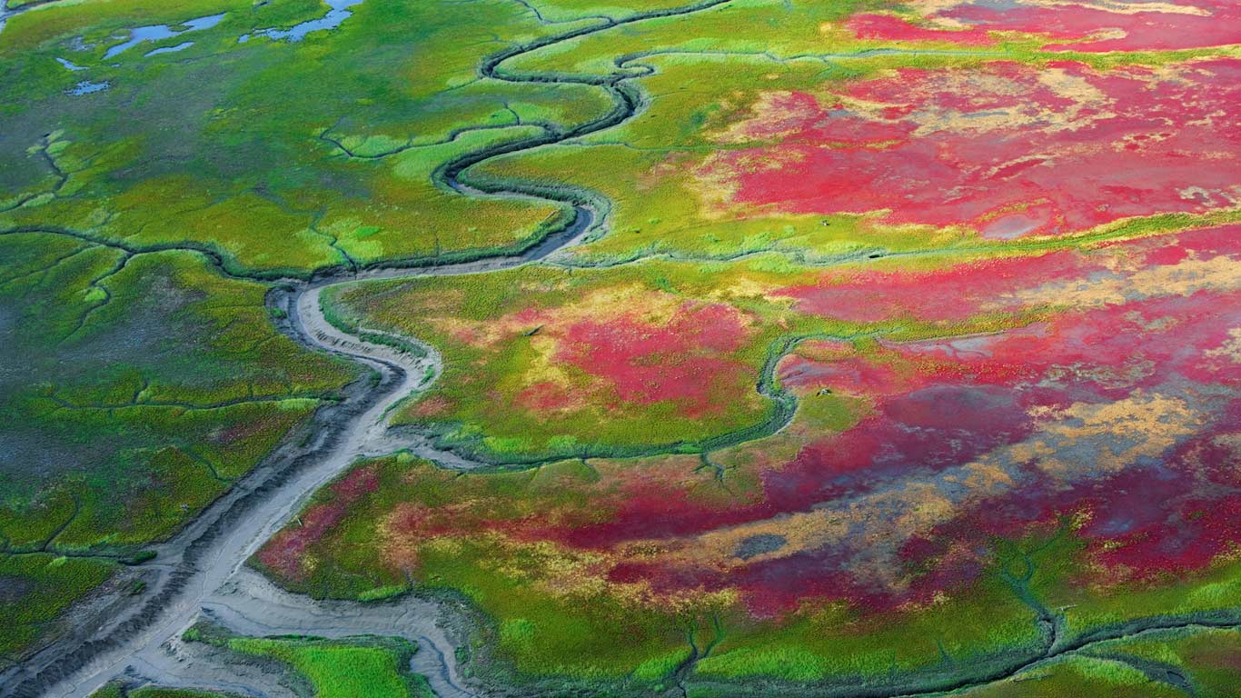 美国阿拉斯加州，卡特迈国家公园的潮滩 (© plainpicture/Cultura)(Bing China)