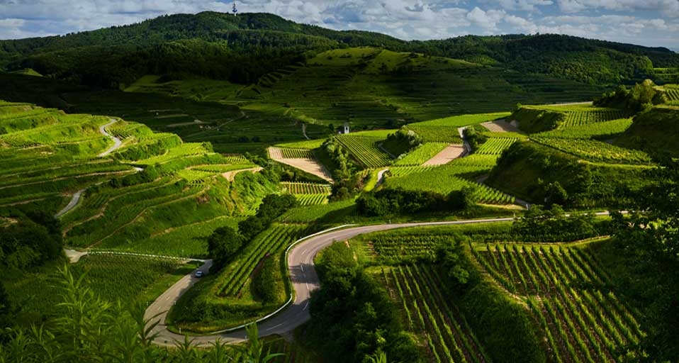 Vineyards and windy roads in the Kaiserstuhl region of Germany -- Andreas Wonisch/Getty Images &copy; (Bing Canada)