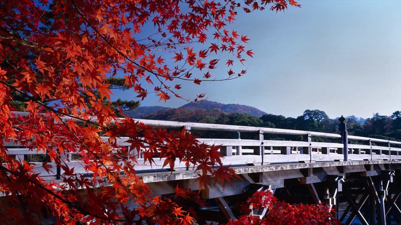 ｢秋の宇治橋｣三重県, 伊勢神宮 (© JTB MEDIA CREATION,Inc./Alamy)(Bing Japan)