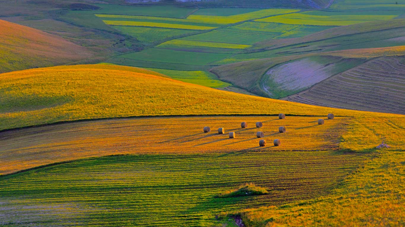 意大利佩鲁贾地区，日落时分的农田 (© SIME/eStock Photo)(Bing China)