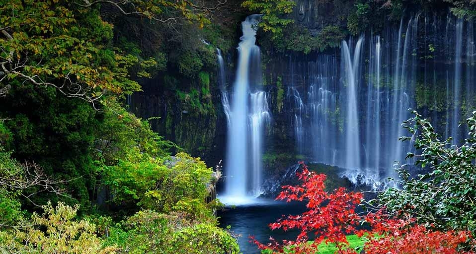 ｢白糸の滝｣静岡, 富士宮市 (© Summer Yukata/ageFOTOSTOCK) &copy; (Bing Japan)