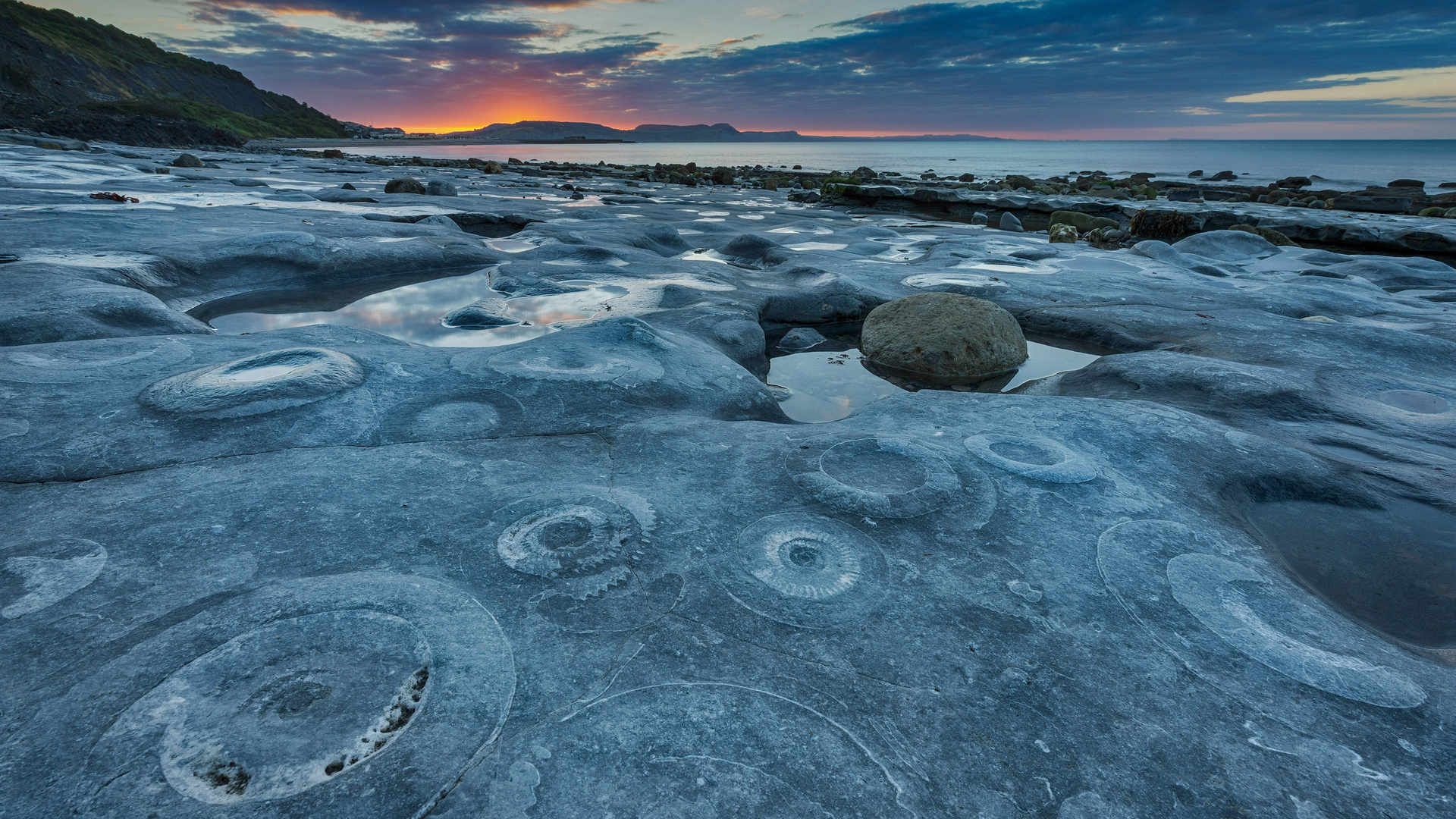 蒙茅斯海滩的菊石路面，英国多塞特侏罗纪海岸世界遗产地 (© AWL Images/Danita Delimont)(Bing China)