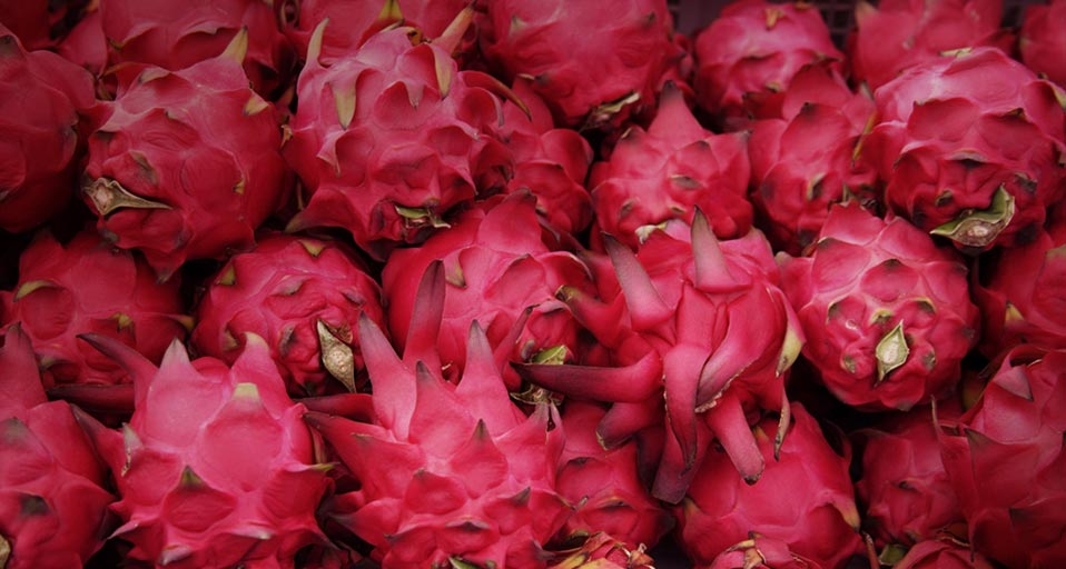 火龙果 (© Asia Images Group/Photolibrary) &copy; (Bing China)