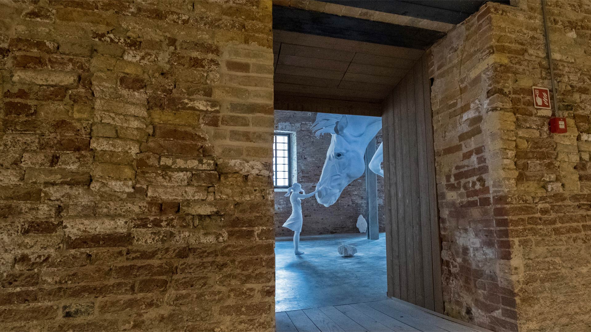 „El Problema del Caballo“ von Claudia Fontes in Venedig, Italien (© Marco Secchi/Getty Images)(Bing Deutschland)