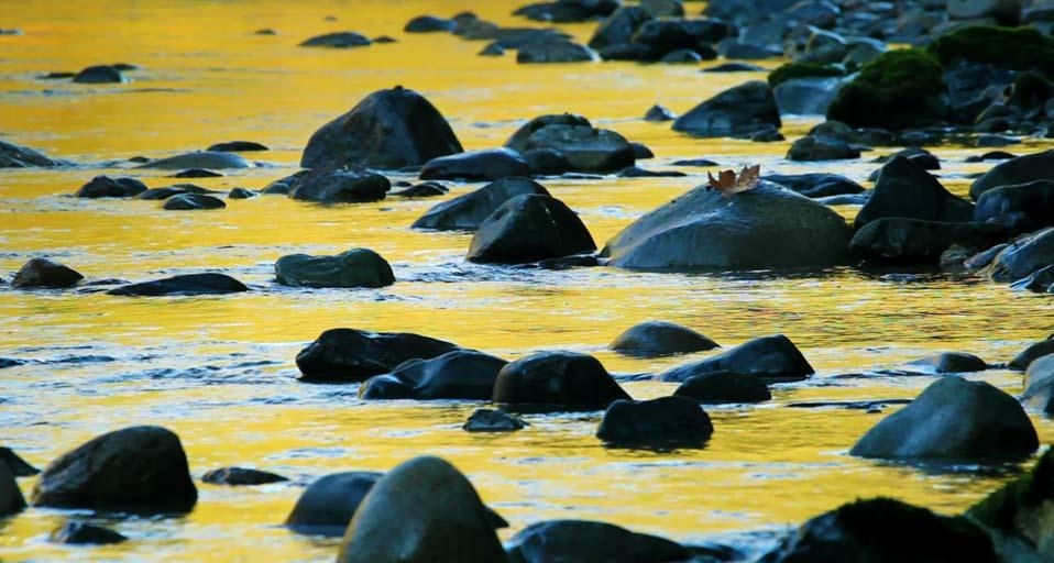 Stillaguamish River of Mount Baker-Snoqualmie National Forest, Washington, U.S.A. (© Stephen Matera) &copy; (Bing Canada)