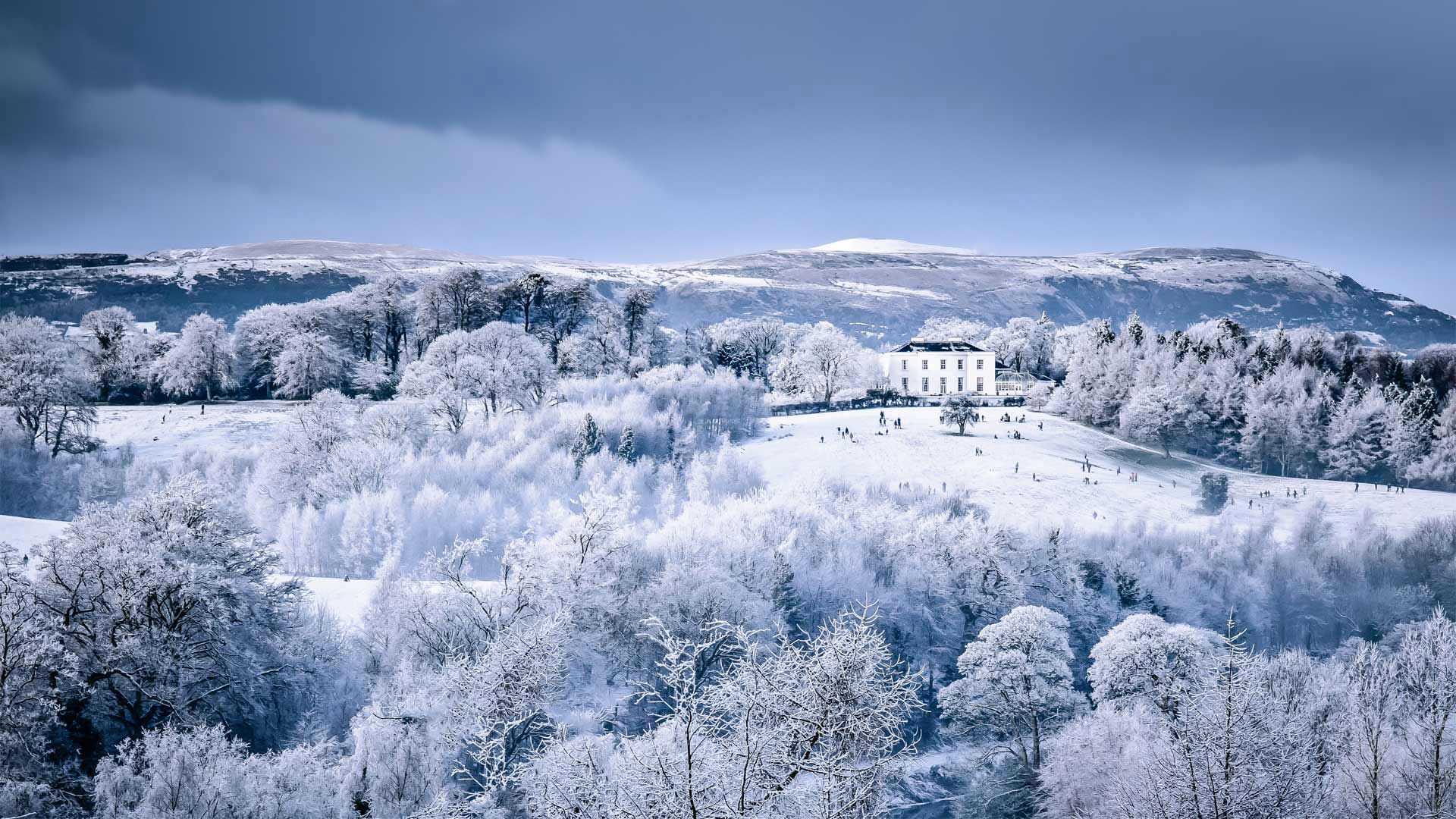 Barnett Demesne公园中在白雪覆盖的山坡上玩耍的一家，北爱尔兰贝尔法斯特 (© Stephen Barnes/Alamy)(Bing China)