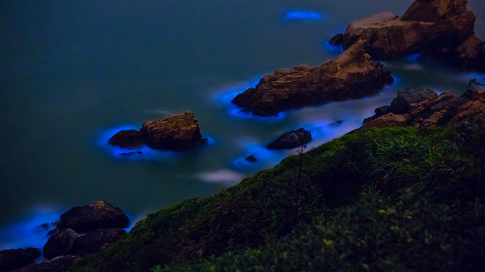 ｢藍眼涙｣台湾, 馬祖島 (© Wan Ru Chen/Getty Images)(Bing Japan)