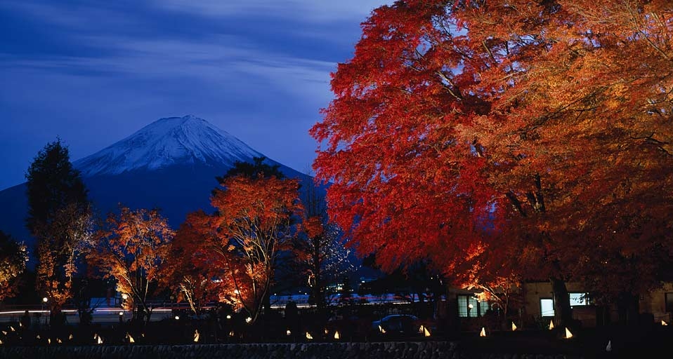 ｢もみじ回廊｣山梨, 河口湖 (© JTB Photo/Japan Travel Bureau/Photolibrary) &copy; (Bing Japan)