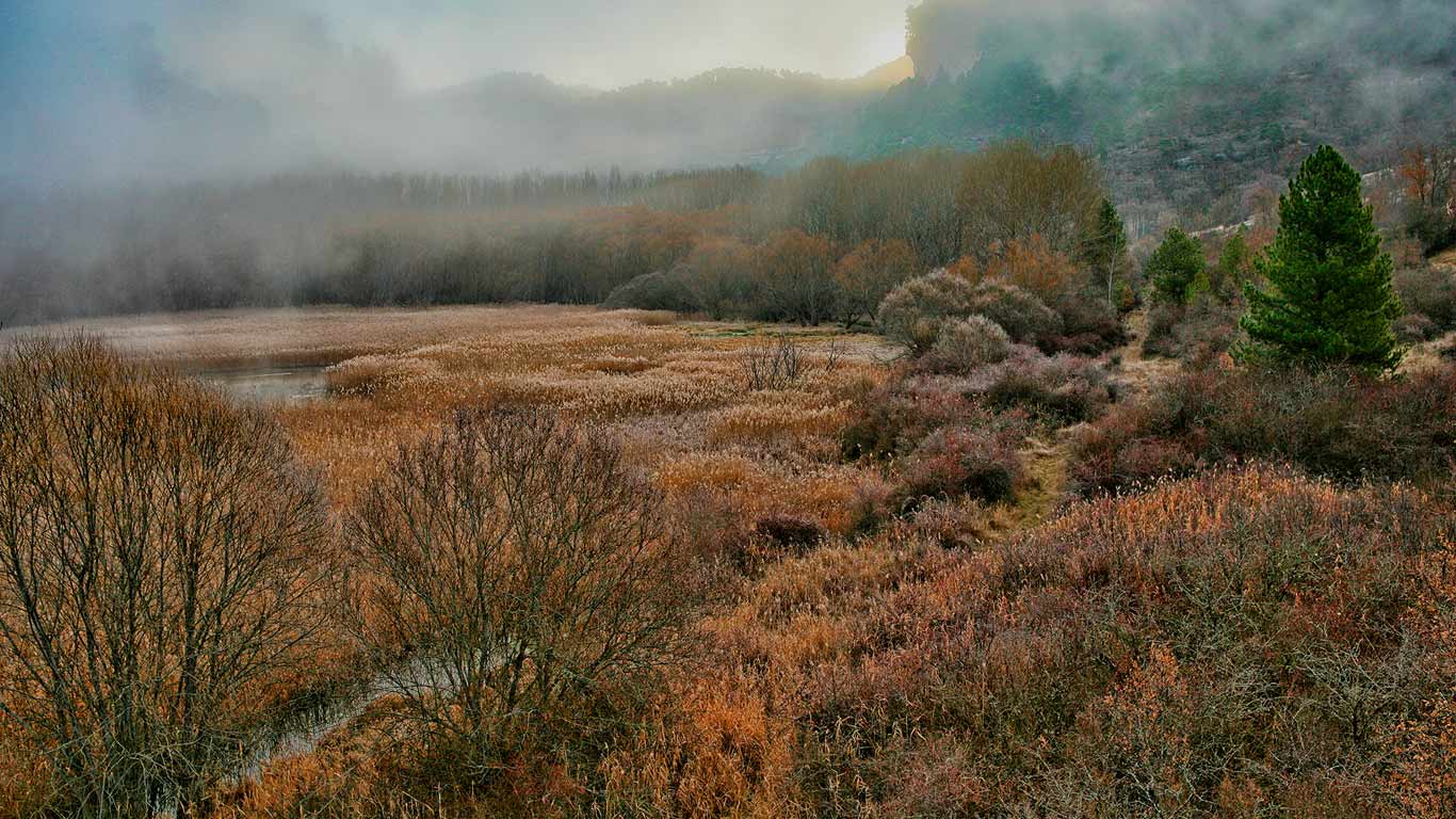 西班牙，靠近昆卡的潟湖 (© David Santiago Garcia/Aurora Photos)(Bing China)