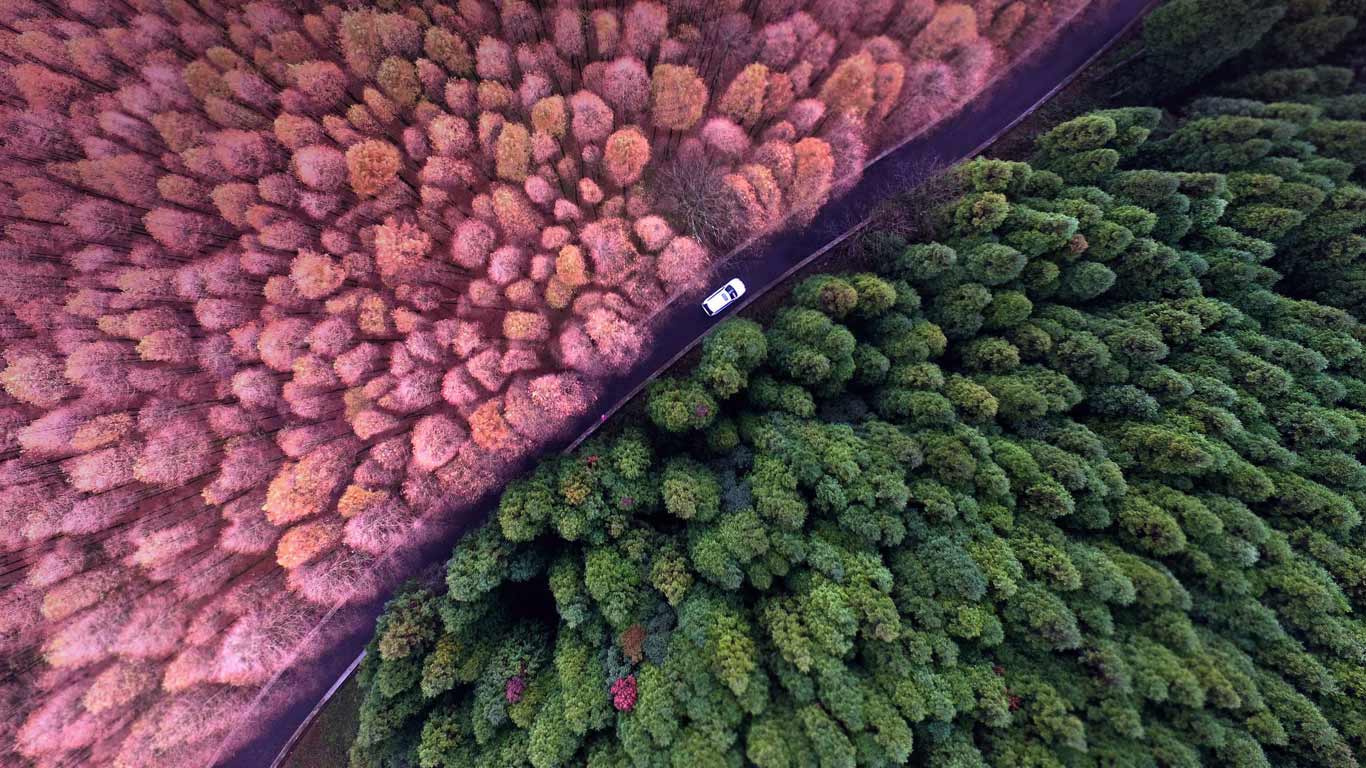 重庆郊区的山王坪喀斯特国家生态公园，中国 (© Chen Chao/Getty Images)(Bing China)