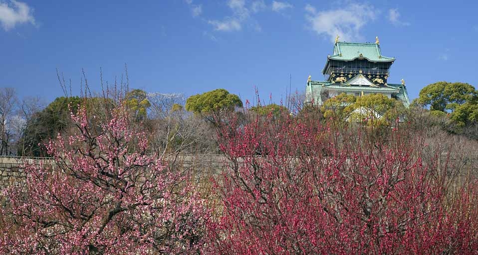 ｢大阪城梅林｣大阪, 大阪市 (© JTB Photo/Photolibrary) &copy; (Bing Japan)