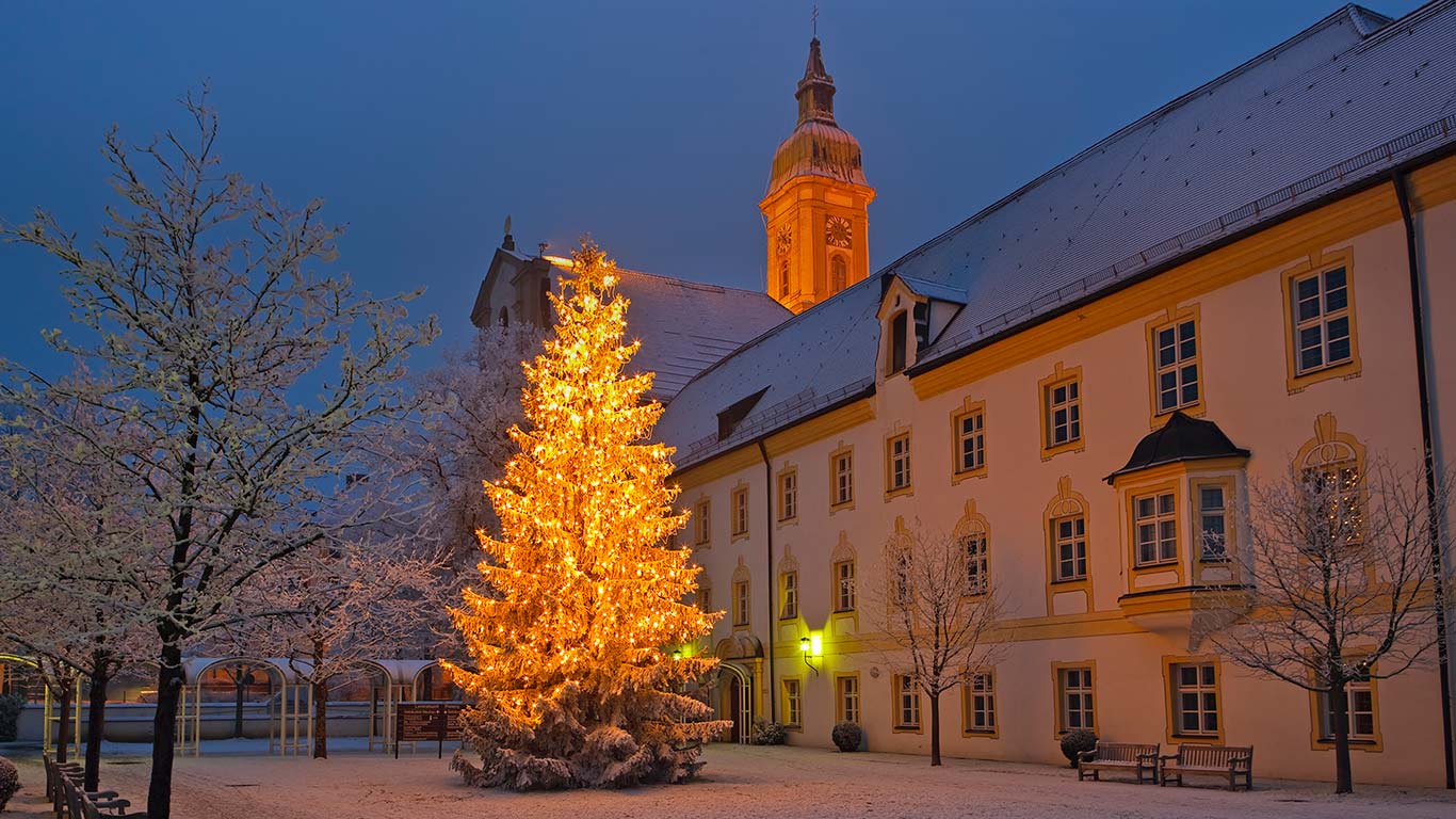 Weihnachtsbaum vor dem Landratsamt in Freising, Stadtteil Neustift, Bayern, Deutschland (© Rolf Hicker/All Canada Photos/Corbis)(Bing Deutschland)