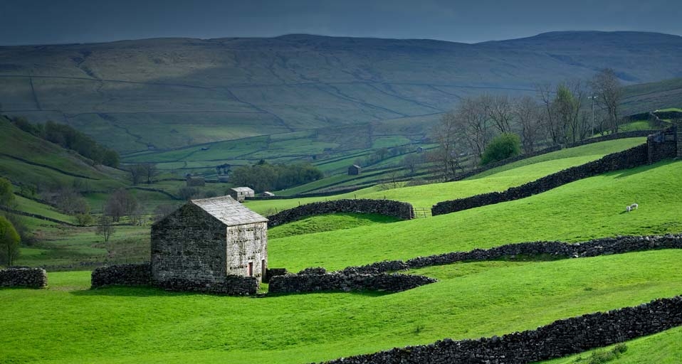 Stone farm buildings and dry stone walls in Swaledale, Yorkshire, UK -- Steve Allen/Getty Images &copy; (Bing Canada)