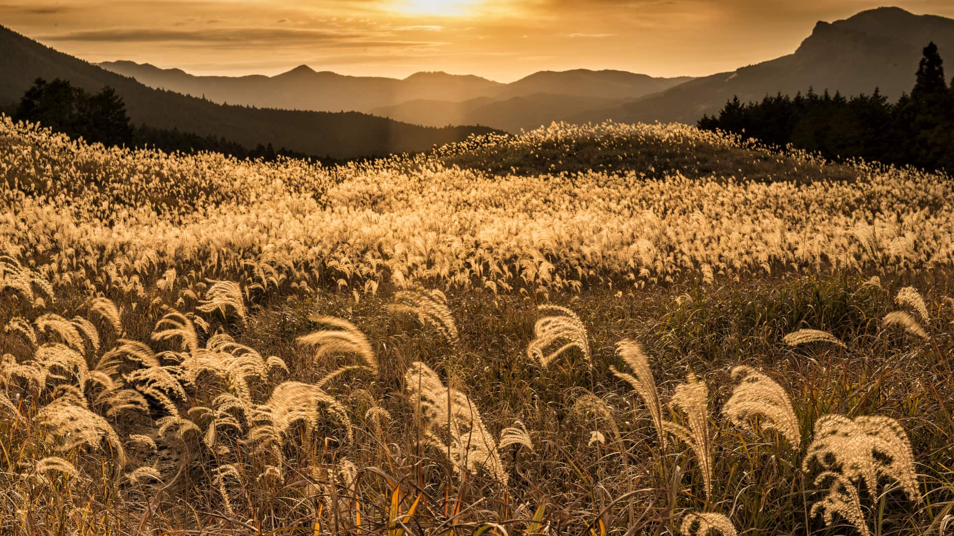 ｢曽爾高原の夕焼け｣奈良県 (© Ken1200/Shutterstock)(Bing Japan)