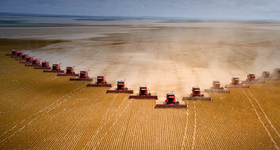 巴西马托格罗索州的农场在收获大豆 -- Paulo Fridman/Corbis &copy; (Bing China)