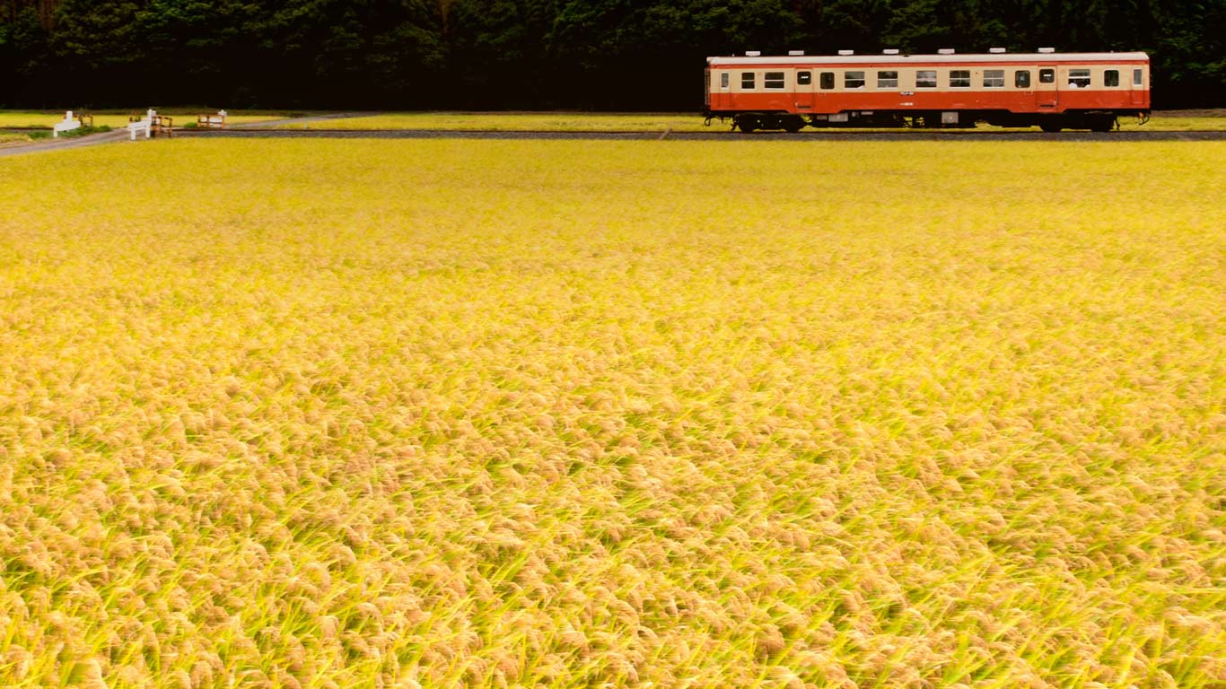 ｢ひたちなか海浜鉄道湊線｣茨城, ひたちなか市 (© The pictures of Hitachinaka and Ibaraki Pref in Japan./Flickr Open/Getty Images)(Bing Japan)