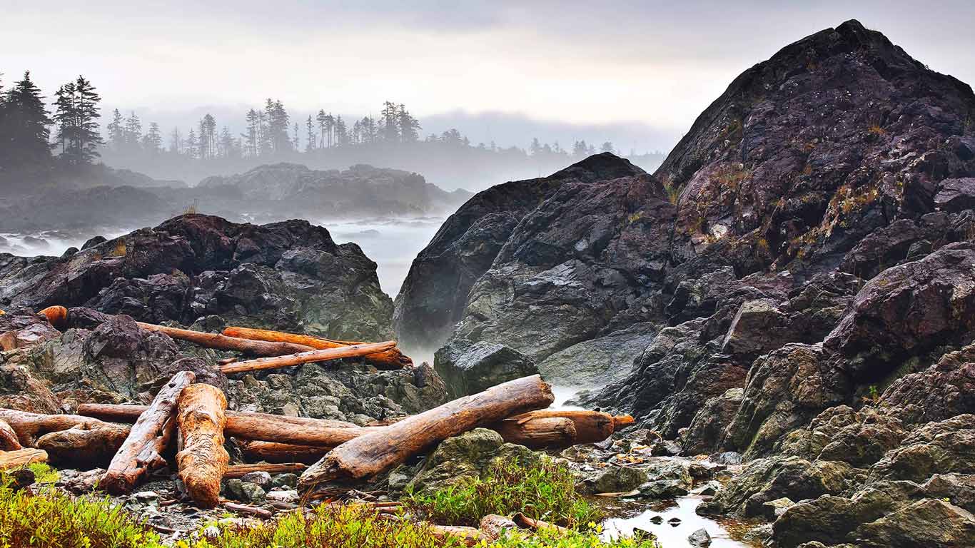Driftwood logs on the Pacific Coast, Wild Pacific Trail, Vancouver Island, British Columbia, Canada (© Ken Gillespie/All Canada Photos/Corbis)(Bing Canada)