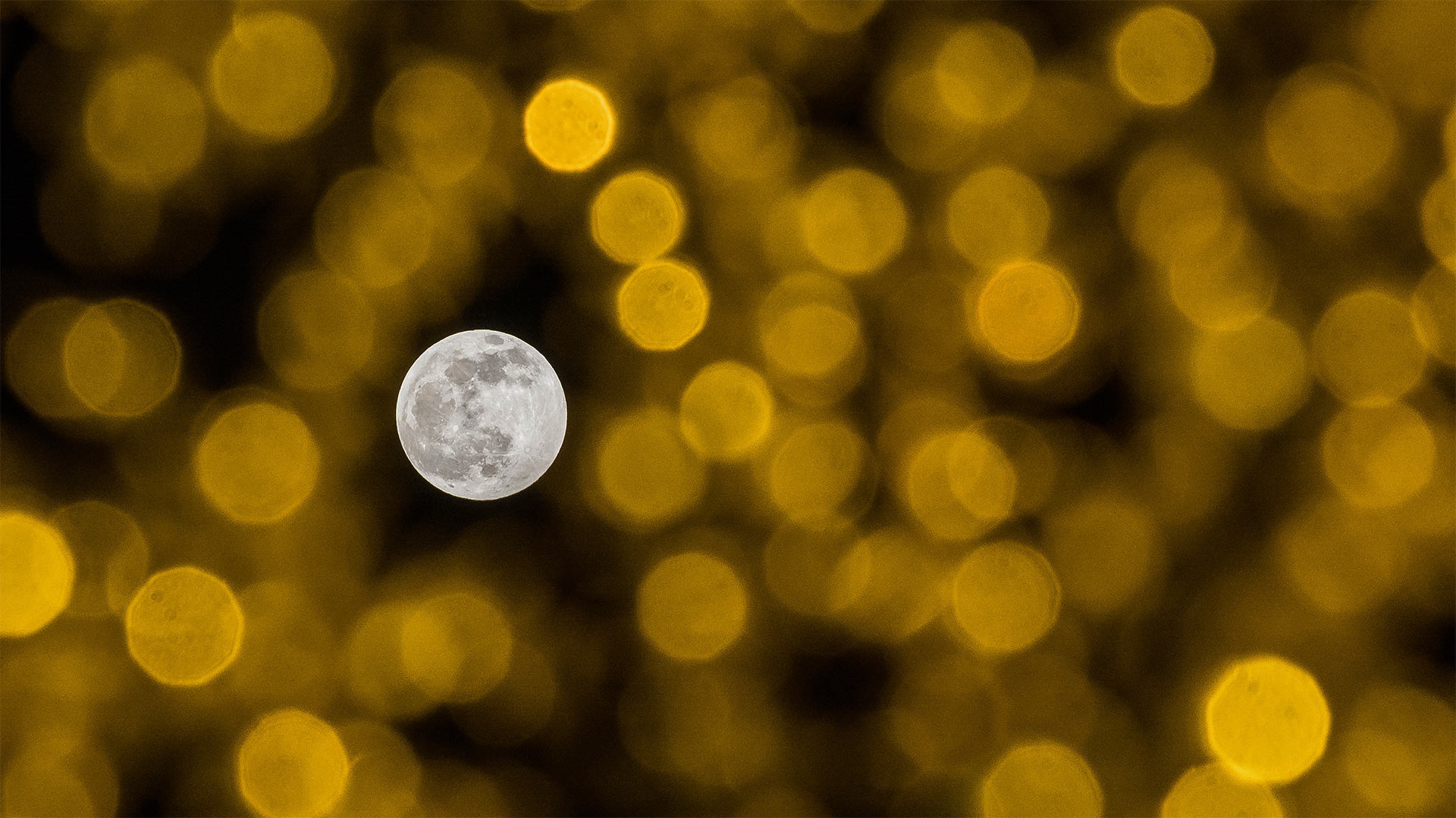 The December full moon seen through holiday lights (© Jesus Merida/Getty Images)(Bing United States)